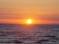 Παραλία - Beach Bar - Olympia Golden Beach Resort & Spa image 6